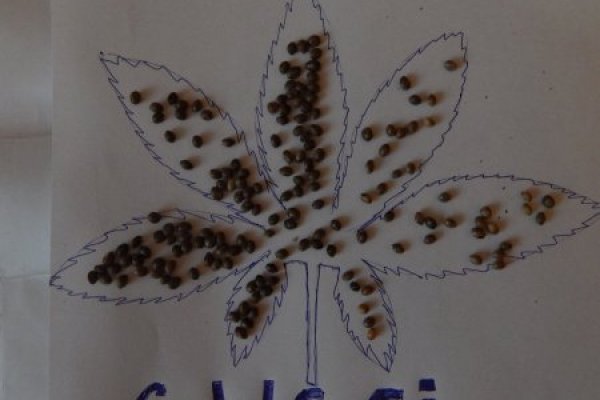 Что с кракеном сайт