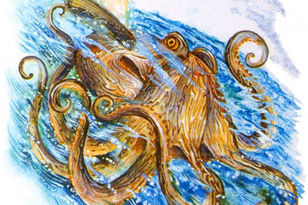 Kraken 13at сайт