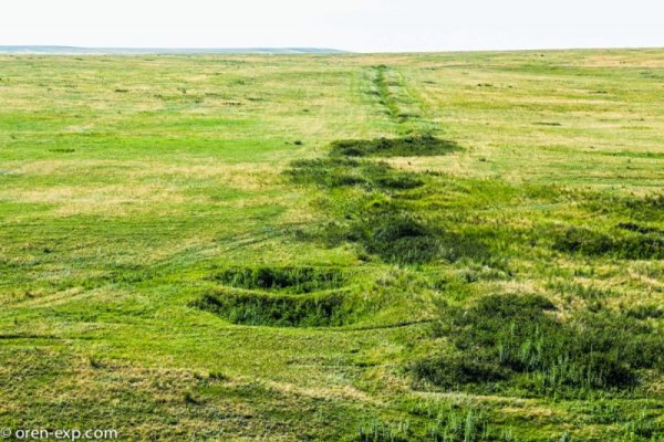 Кракен как проверить зеркало