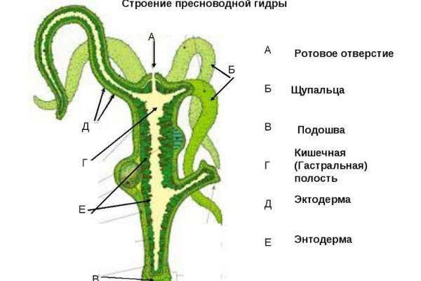 Сайт krn